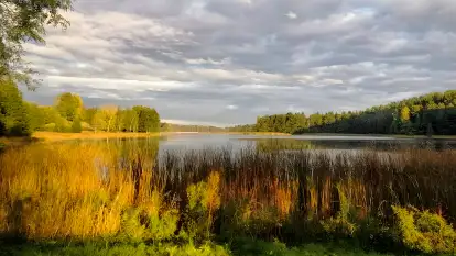 Stara Szkoła Nad Jeziorem - zdjęcie 29