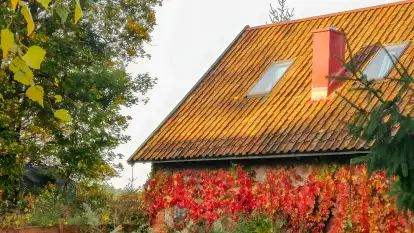 Stara Szkoła Nad Jeziorem - zdjęcie 10