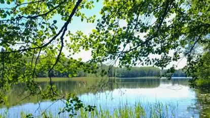 Stara Szkoła Nad Jeziorem - zdjęcie 30