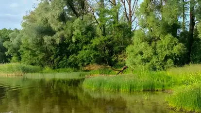 Stara Szkoła Nad Jeziorem - zdjęcie 32