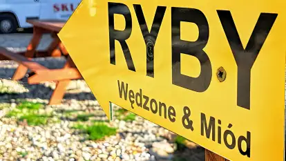 Ryby i Miód - Piotr Deptuła - zdjęcie 5