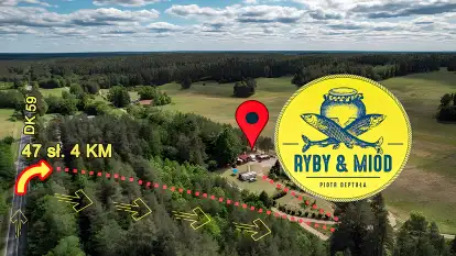 Ryby i Miód - Piotr Deptuła - zdjęcie 4