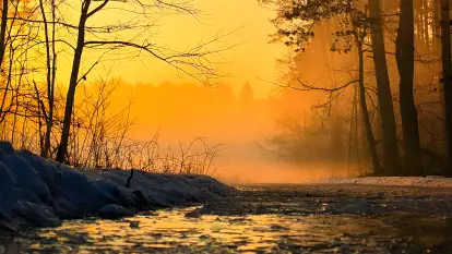 Przystanek Szczęście - zdjęcie 29
