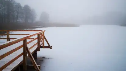 Przystanek Szczęście - zdjęcie 30