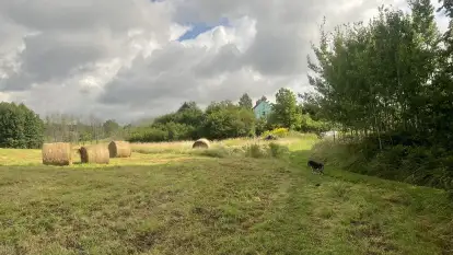 Domek na Górce - zdjęcie 40