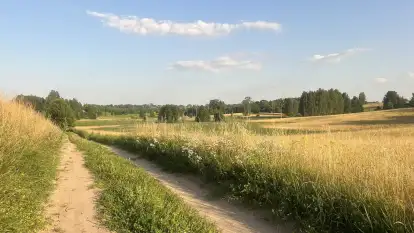 Domek na Górce - zdjęcie 44