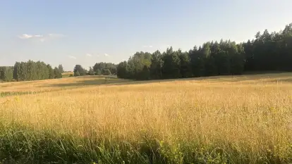 Domek na Górce - zdjęcie 45