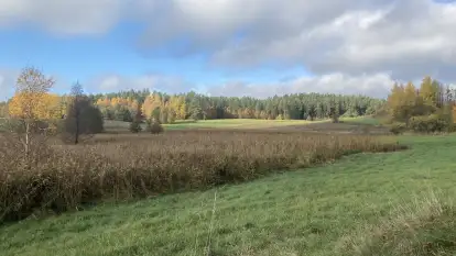 Domek na Górce - zdjęcie 43