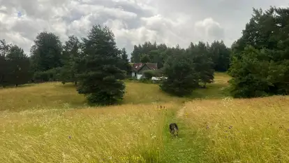 Pensjonat Pod Tulipanem  - zdjęcie 47
