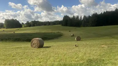 Pensjonat Pod Tulipanem  - zdjęcie 48