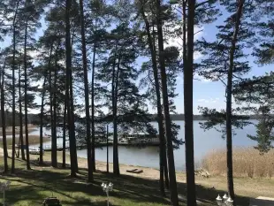 Ośrodek - zdjęcie 8