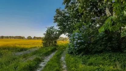 Domy Oliwkowe Jerzykowo - zdjęcie 9