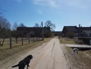 Domy Oliwkowe Jerzykowo - zdjęcie 26