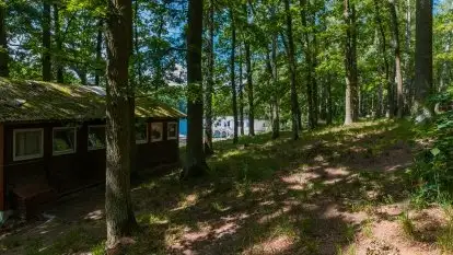 Ośrodek Wypoczynkowy Nova Mazury - zdjęcie 9