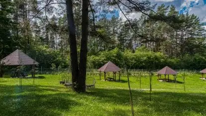 Sosnowy Raj - Domki na Mazurach - zdjęcie 20