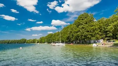 Pole namiotowe Zwierzyniecki Róg - zdjęcie 2