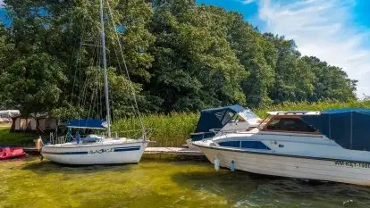 Pole namiotowe Zwierzyniecki Róg - zdjęcie 13