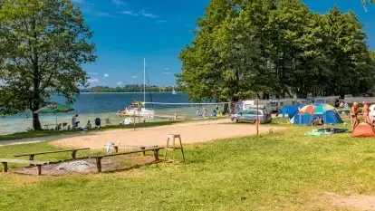 Pole namiotowe Zwierzyniecki Róg - zdjęcie 14