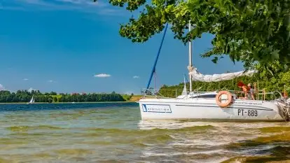 Pole namiotowe Zwierzyniecki Róg - zdjęcie 19