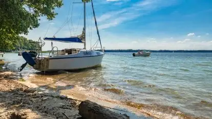 Pole namiotowe Zwierzyniecki Róg - zdjęcie 20