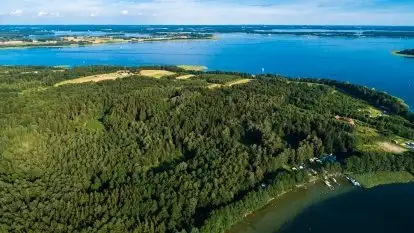 Pole namiotowe Zwierzyniecki Róg - zdjęcie 5