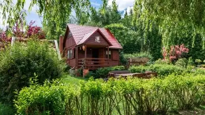 Nowa galeria - zdjęcie 94