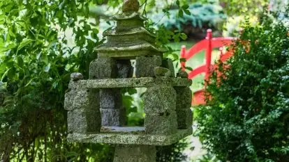 Nowa galeria - zdjęcie 71