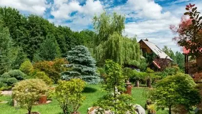 Nowa galeria - zdjęcie 62