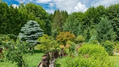 Nowa galeria - zdjęcie 95