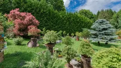 Nowa galeria - zdjęcie 97