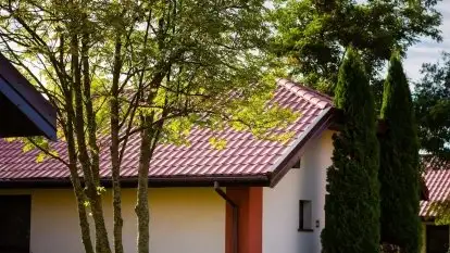 Hotel *** Ognisty Ptak - zdjęcie 9