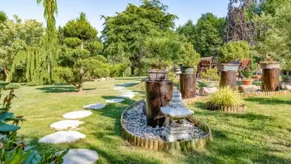 Nowa galeria - zdjęcie 29