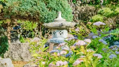 Nowa galeria - zdjęcie 6