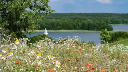 Kamienny Ogród Holiday Park komfortowe domki z 2 sypialniami w parku nad jeziorem Tałty na Mazurach, Stare Sady, Mikołajki - zdjęcie 42