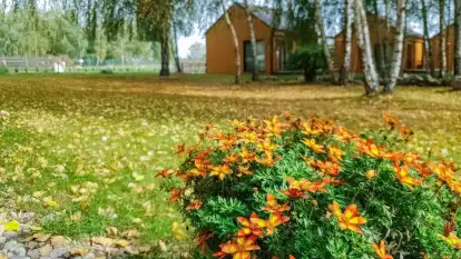 Kamienny Ogród Holiday Park komfortowe domki z 2 sypialniami w parku nad jeziorem Tałty na Mazurach, Stare Sady, Mikołajki - zdjęcie 39