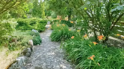 Kamienny Ogród Holiday Park komfortowe domki z 2 sypialniami w parku nad jeziorem Tałty na Mazurach, Stare Sady, Mikołajki - zdjęcie 35