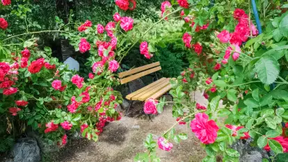 Kamienny Ogród Holiday Park komfortowe domki z 2 sypialniami w parku nad jeziorem Tałty na Mazurach, Stare Sady, Mikołajki - zdjęcie 37