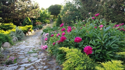 Kamienny Ogród Holiday Park komfortowe domki z 2 sypialniami w parku nad jeziorem Tałty na Mazurach, Stare Sady, Mikołajki - zdjęcie 30