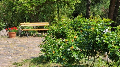 Kamienny Ogród Holiday Park komfortowe domki z 2 sypialniami w parku nad jeziorem Tałty na Mazurach, Stare Sady, Mikołajki - zdjęcie 29