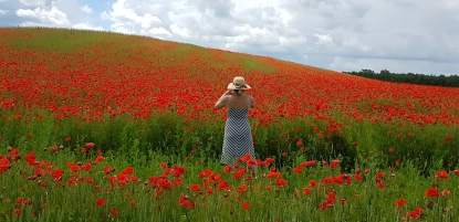 Kamienny Ogród Holiday Park komfortowe domki z 2 sypialniami w parku nad jeziorem Tałty na Mazurach, Stare Sady, Mikołajki - zdjęcie 44