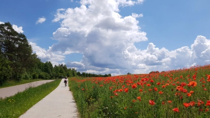 Kamienny Ogród Holiday Park komfortowe domki z 2 sypialniami w parku nad jeziorem Tałty na Mazurach, Stare Sady, Mikołajki - zdjęcie 7