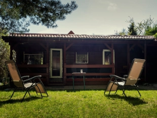 Nowa galeria - zdjęcie 1