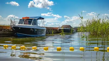 Apartamenty Leśna Przystań - zdjęcie 4