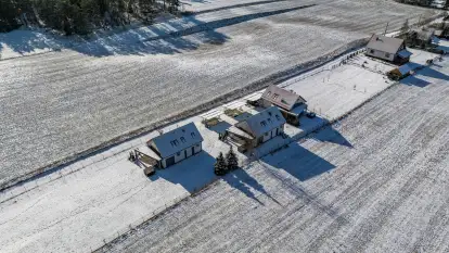 Ant House Complex - zdjęcie 6