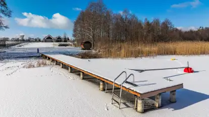 Ant House Complex - zdjęcie 9