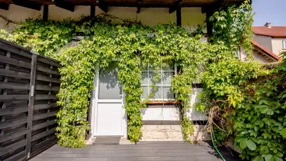 Pensjonat MiłoRyn - zdjęcie 62