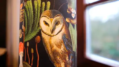 Siedlisko nad Mamrami - zdjęcie 41