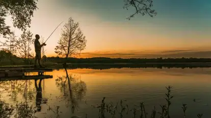 Herrmanns Hof - zdjęcie 28