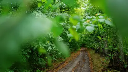 Dworzec Cesarza Wilhelma - zdjęcie 27