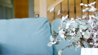 Carpe Diem  - zdjęcie 15